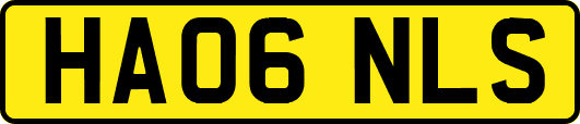 HA06NLS