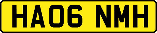 HA06NMH