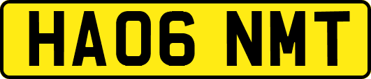 HA06NMT