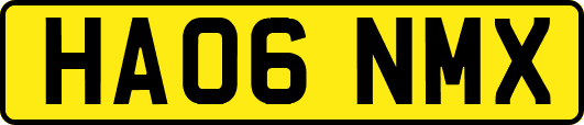 HA06NMX