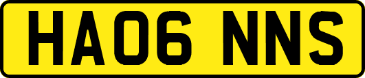 HA06NNS
