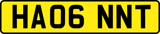 HA06NNT