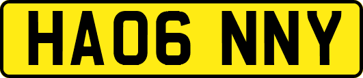 HA06NNY