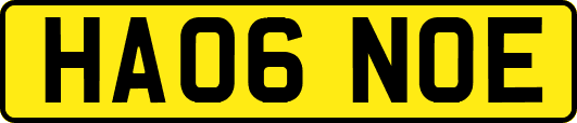 HA06NOE