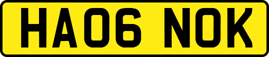 HA06NOK