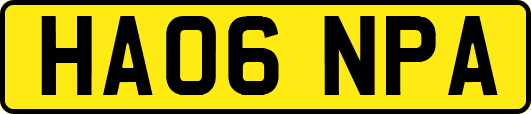 HA06NPA