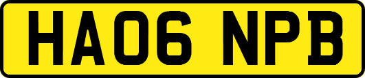 HA06NPB