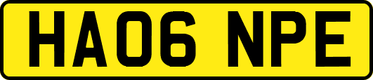 HA06NPE