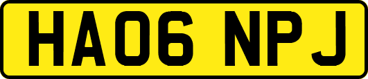 HA06NPJ