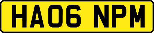 HA06NPM