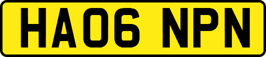 HA06NPN