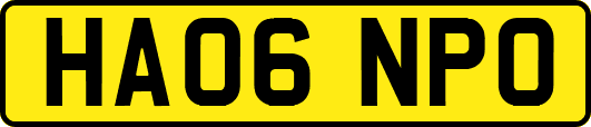 HA06NPO