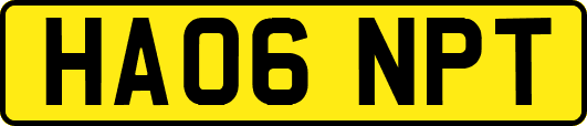 HA06NPT