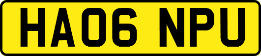 HA06NPU