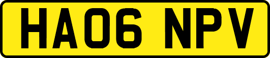 HA06NPV