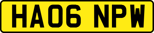 HA06NPW