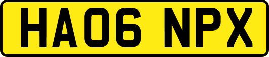 HA06NPX
