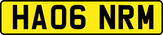 HA06NRM