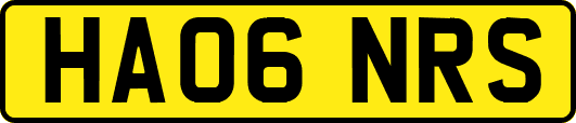 HA06NRS