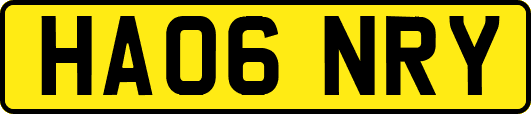 HA06NRY