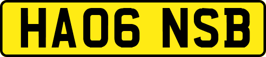 HA06NSB