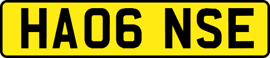 HA06NSE