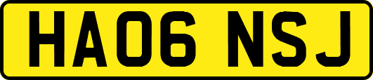 HA06NSJ