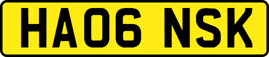 HA06NSK