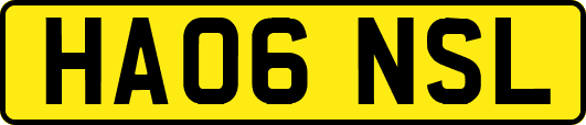 HA06NSL