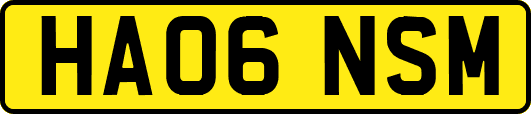 HA06NSM