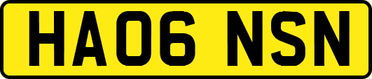 HA06NSN