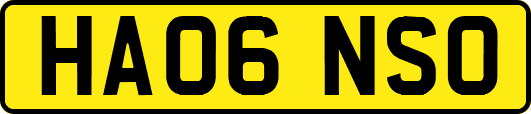 HA06NSO