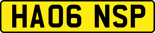 HA06NSP