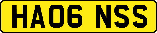 HA06NSS