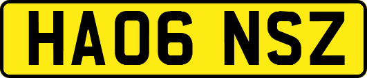 HA06NSZ