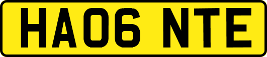 HA06NTE