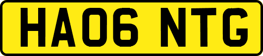 HA06NTG