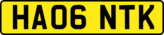 HA06NTK