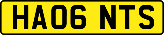 HA06NTS