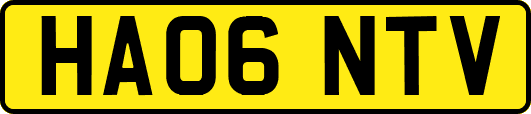 HA06NTV