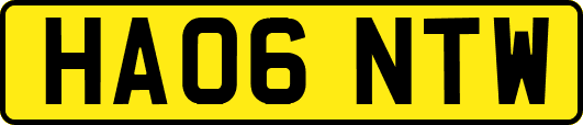 HA06NTW