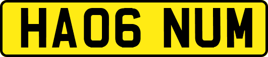 HA06NUM