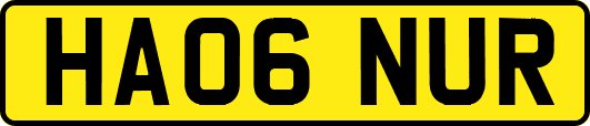 HA06NUR