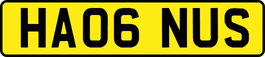 HA06NUS