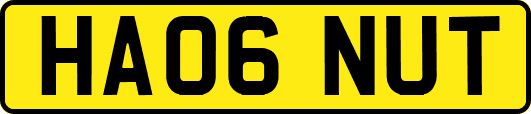 HA06NUT