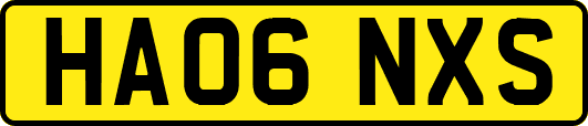 HA06NXS