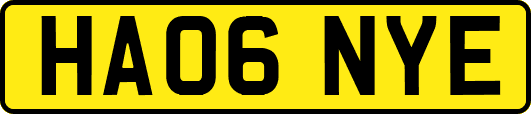 HA06NYE