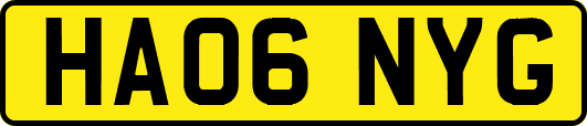 HA06NYG