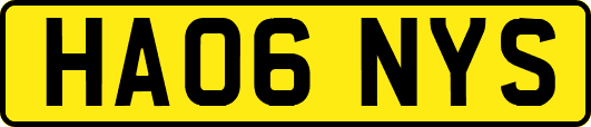HA06NYS