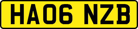 HA06NZB